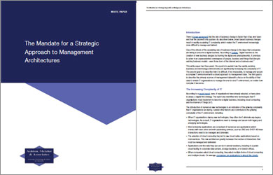 BThe Mandate for a Strategic Approach to Management Architectures 
