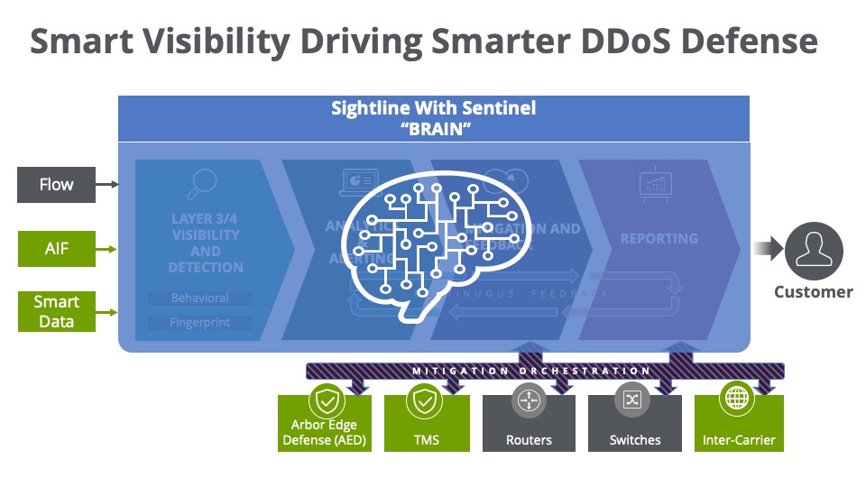 Smart Visibility Driving Smarter DDoS Defense