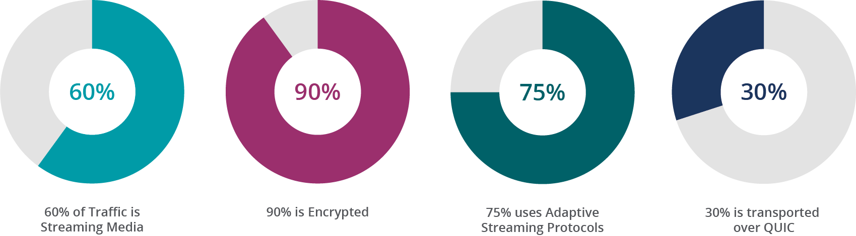 OTT Encryption Pie Graphs