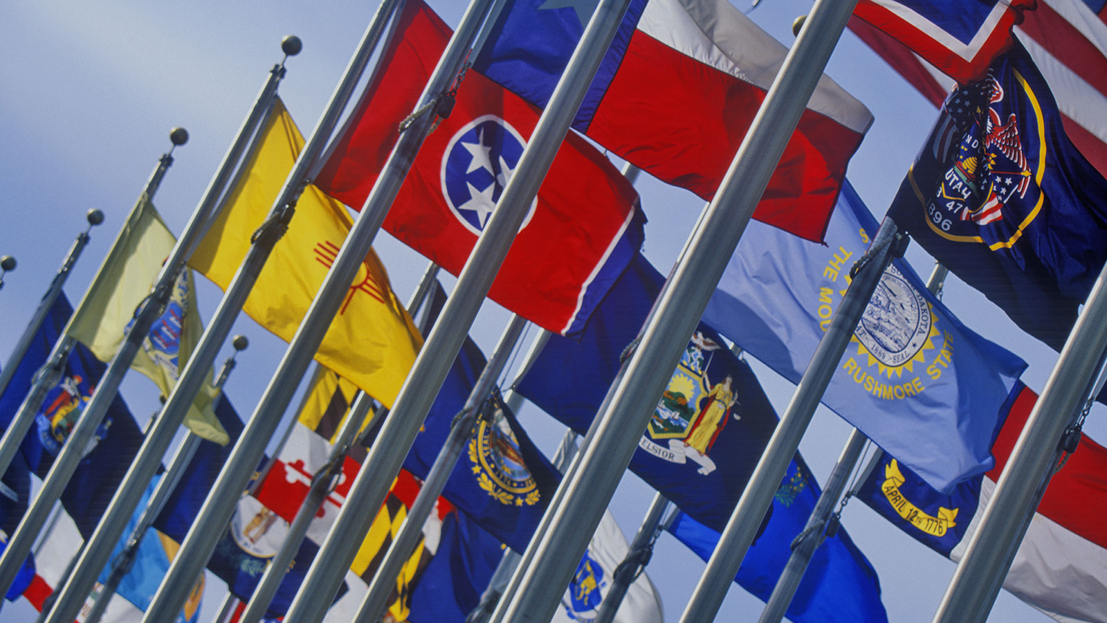 State flags on flagpoles lined up together