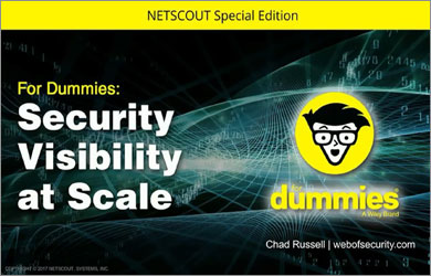 Security Visibility at Scale for Dummies Webinar