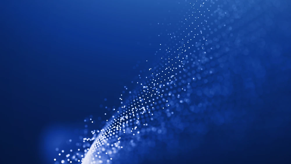 Citrix Partnership
