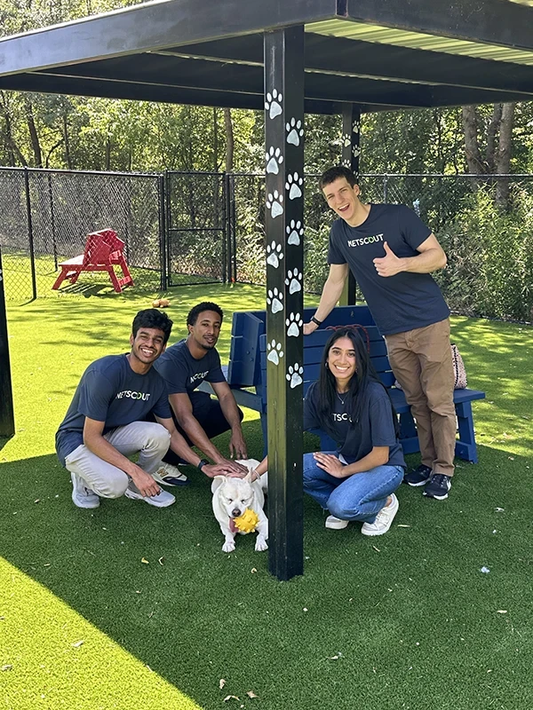 Interns volunteering at an animal shelter