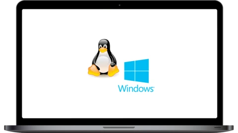 Windows & Linux