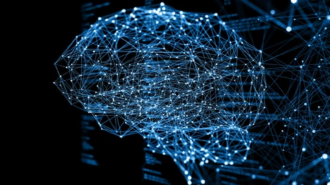 Western European Organization Realizes DDoS Attack Complexity Dictates Hybrid Protection