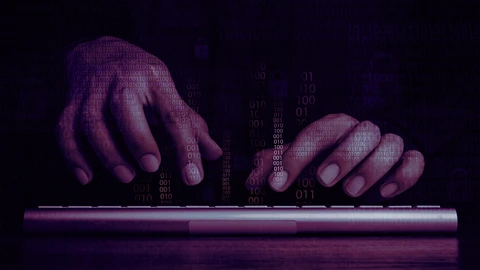 Hands with purple background typing on keyboard
