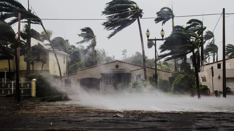 Palm Trees and Buildings being ravaged by hurricane winds and flooding.