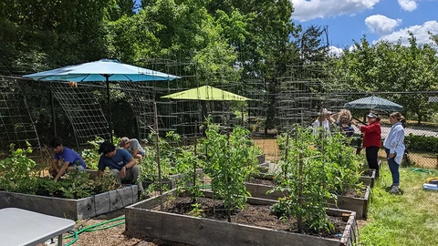 NETSCOUT employees volunteering at a community garden