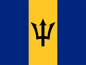 Flag of Latin America