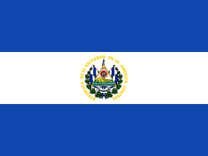 Flag of Latin America