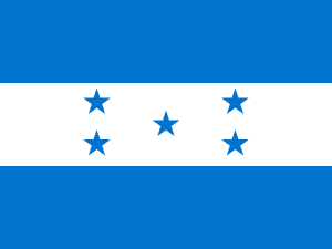Flag of Latin America