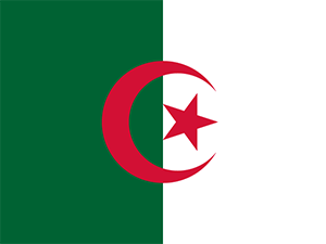 Flag of Europe, Middle East, and Africa