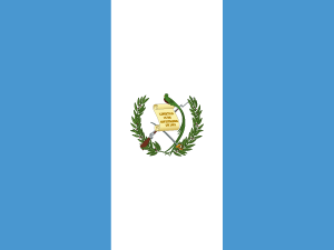Flag of Latin America