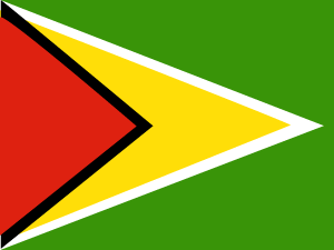 Flag of Latin America