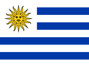 Flag of Latin America