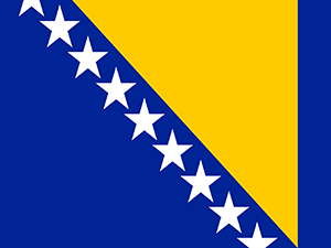 Flag of Bosnia and Herzegovina