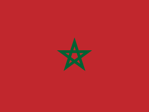 Flag of Europe, Middle East, and Africa