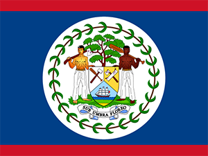 Flag of Latin America